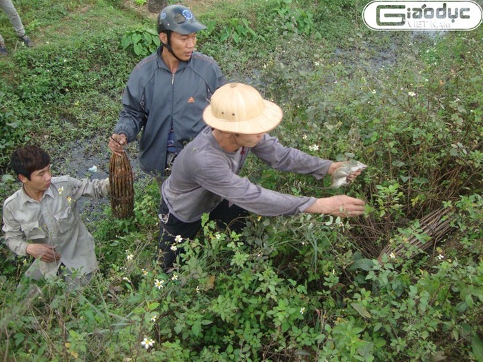 Tìm đường đi của chuột, sau đó đặt nơm, rồi đuổi cho chuột sợ chạy.